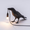 Raven Lamp